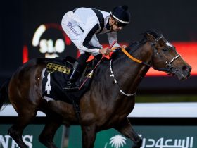 أهم التخصصات في رياضة الفروسية