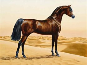 أسماء الخيول التي كان يمتطيها أخر الأنبياء والمرسلين