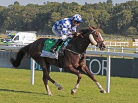 المهرة أميرة الزمان تحصد المركز الأول لكأس