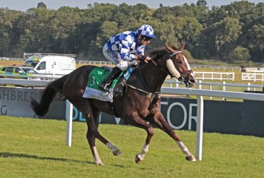 المهرة أميرة الزمان تحصد المركز الأول لكأس