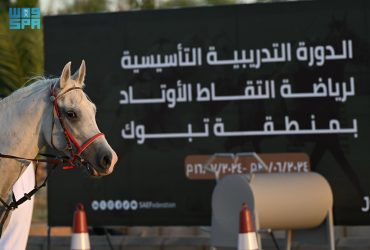 اتحاد الفروسية يواصل برنامجه التدريبي بمنطقة تبوك