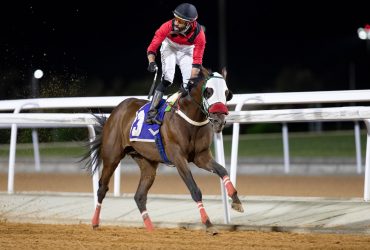 سباقات الخيل