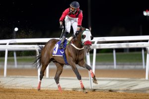 سباقات الخيل