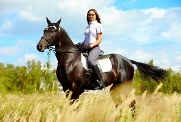 كيف تخطط لإجازة ركوب الخيل؟