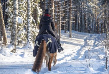 أهمية الإحماء وتهدئة الأداء لحصانك