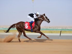 كيف تؤثر التكنولوجيا على سباقات الخيل