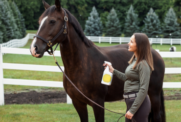 مكافحة ذباب الحظيرة بطرق طبيعية