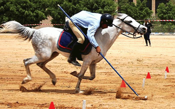 10 بطولات لالتقاط الأوتاد يعتمد إقامتها اتحاد الفروسية الإماراتي - مجلة الفروسية
