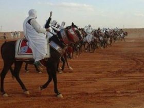 بدء فعاليات مهرجان الفروسية في دورته السابعة بمدينة هون في ليبيا