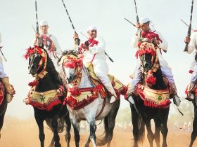 حنان بولحيمز أول حكمة دولية في الفروسية