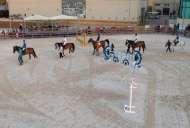 البطولة الدولية لـ "قفز الموانع" في وادي الفروسية