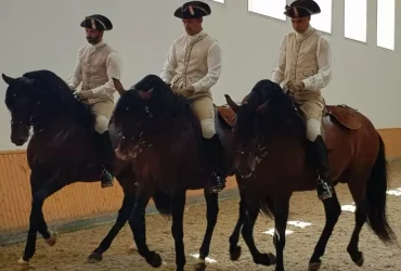 المدارس الأربع الكبرى لركوب الخيل في أوروبا
