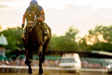 6 فرسان يمثلون الإمارات في بطولة مصر الدولية لقفز الحواجز