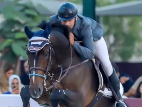 الفارس محمد الشناوي يفوز بـمتوسط الجولة الكبرى في البطولة الدولية لقفز الموانع بوادي الفروسية