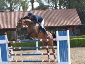 بروتوكول تعاون بين إدارة المدرعات واتحاد الفروسية المصري