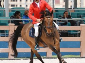 النتائج الختامية لبطولة مصر الدولية للفروسية