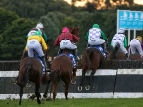 جوائز بقيمة 3 ملايين درهم في بطولة الإمارات لقفز الحواجز