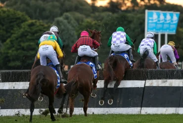 جوائز بقيمة 3 ملايين درهم في بطولة الإمارات لقفز الحواجز