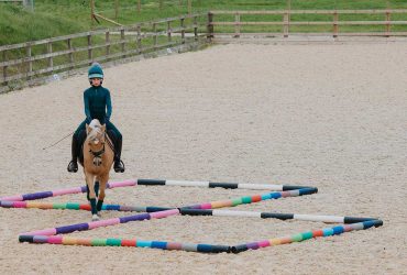 درب حصانك مع تمرين "أعمدة هارلو"