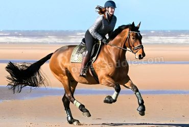 جولات في الطبيعة