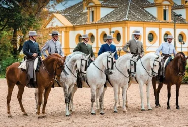 أفضل مدارس الفروسية في المملكة المتحدة