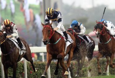 مصر تستعد لاستضافة بطولة الفروسية الدولية 2024