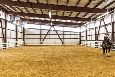 كيف تحقق أقصى استفادة عند استئجار حلبة للخيل؟