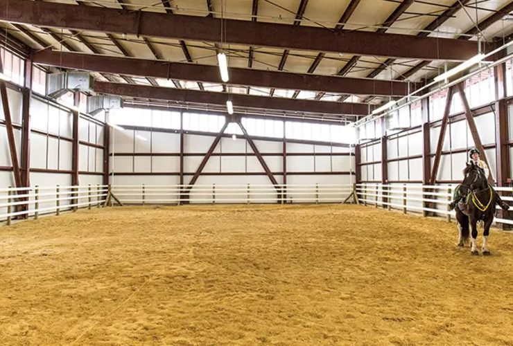 كيف تحقق أقصى استفادة عند استئجار حلبة للخيل؟