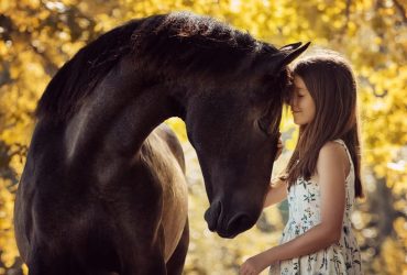 نصائح للقيام بدردشة ناجحة مع حصانك