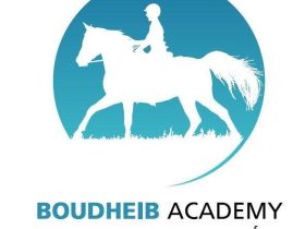 50 فارساً يتنافسون في البطولة الأولى لالتقاط الأوتاد في أبوظبي