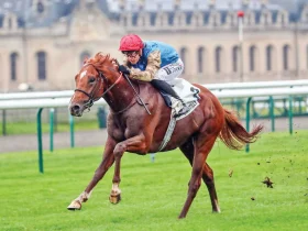 فاست "تراكر" يفوز بجائزة فابيولو بشعار وذنان ريسنغ