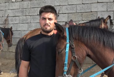 شاب ينشئ مدرسة لتعليم الفروسية في محافظة السليمانية في العراق