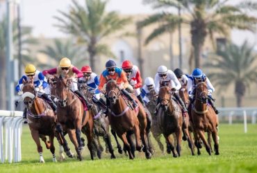 نادي قطر للسباق والفروسية يستعد لبدء موسم السباقات