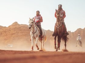 العُلا تستضيف كأس الاتحاد السعودي للفروسية للقدرة والتحمل