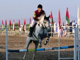 ختام مهرجان الفروسية ببهلاء