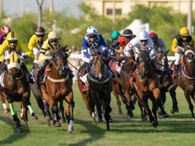 نتائج سباقات مضمار العقدة