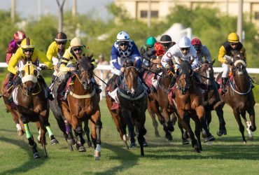 نتائج سباقات مضمار العقدة