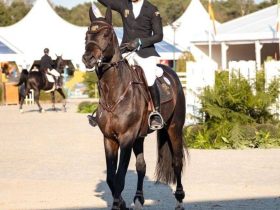 عمر المرزوقي أول عربي يفوز بجائزة "لونجين" كأفضل نجم صاعد في الفروسية