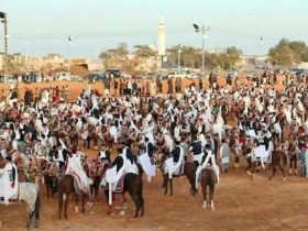 مهرجان الفروسية في أهرواة يجمع فرسان ليبيا