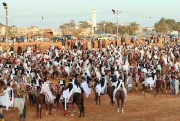 مهرجان الفروسية في أهرواة يجمع فرسان ليبيا