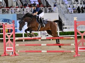 ختام مسابقات قفز الحواجز بمزرعة الرحبة بمشاركة 125 خيلًا