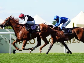 هيئة جديدة تركّز على رفاهية الخيول في رياضة الخماسي الحديث