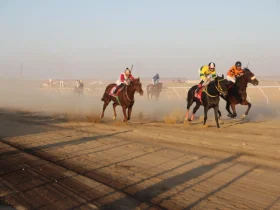 برعاية الأمير فيصل بن نواف انطلق موسم سباقات ميدان الفروسية بالجوف