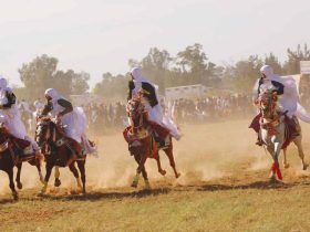 سقوط وزير الداخلية ودهس الحضور في مهرجان الفروسية في ليبيا