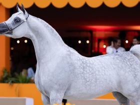 الرياض تستضيف نهائيات جولات الجياد العربية في نوفمبر 2024