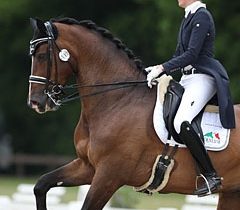 نتائج منافسات كأس الاتحاد السعودي للفروسية للترويض 2024