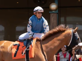 محاكمة فارس بتهمة الإساءة لحصان