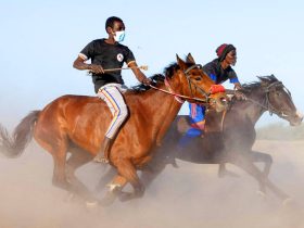 سباقات الخيل في تشاد تواجه خطر الاندثار
