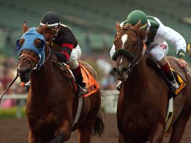 الاستعداد لسباق كأس بيجاسوس العالمي