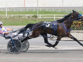 16 مليون دولار جوائز سباقات 2025 سباق الخيل في ألبرتا